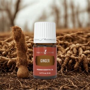 🌱 GINGER ESSENTIAL OIL 5 ML BY YOUNG LIVING